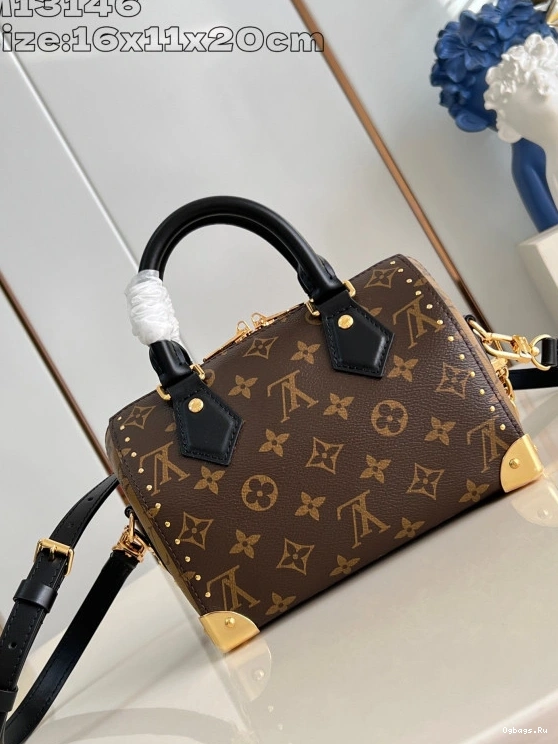 Speedy Vuitton 20 Louis Trunk 0124